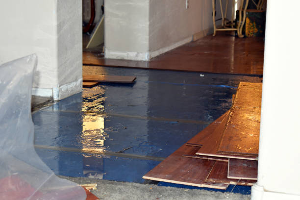 Professional Flood Cleanup technician working in Hampshire, IL